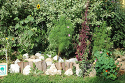 Naturnahe Gartengestaltung: Individuell - Kreativ